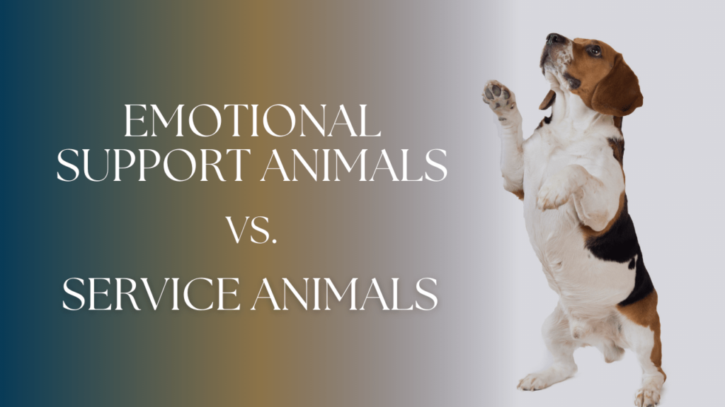 Emotional Support Animals vs. Service Animals: Know the Difference - Article Banner